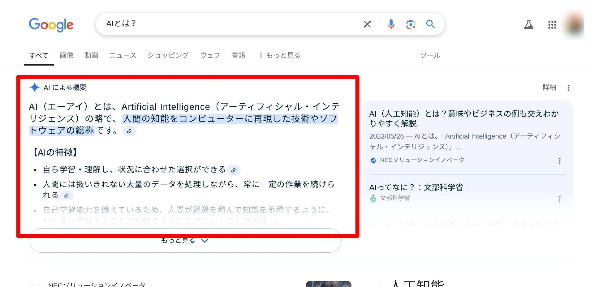 11.Ai Overview